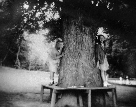 Rosary Priory Elm Tree seat